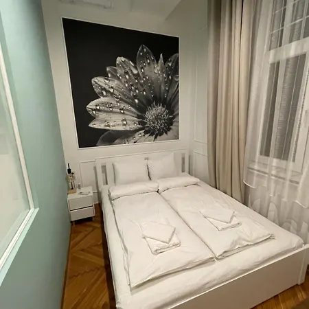 Flower * ブダペスト