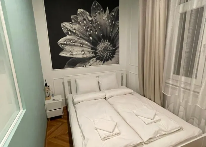 Flower * Budapešť